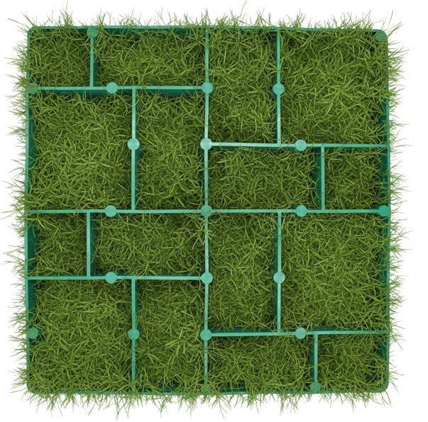 Ecoazulejo con pasto low